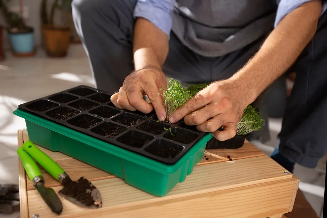 Caixa Para Transporte Horticola