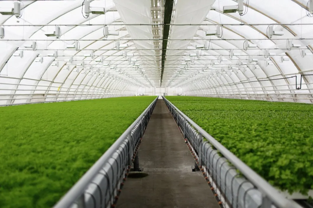 Estufa Inteligente Para Plantas