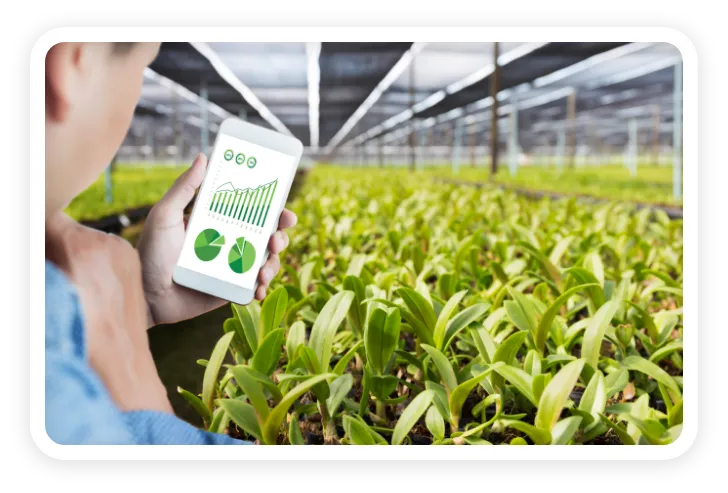 Estufa Automatizada Com Controle Climatico