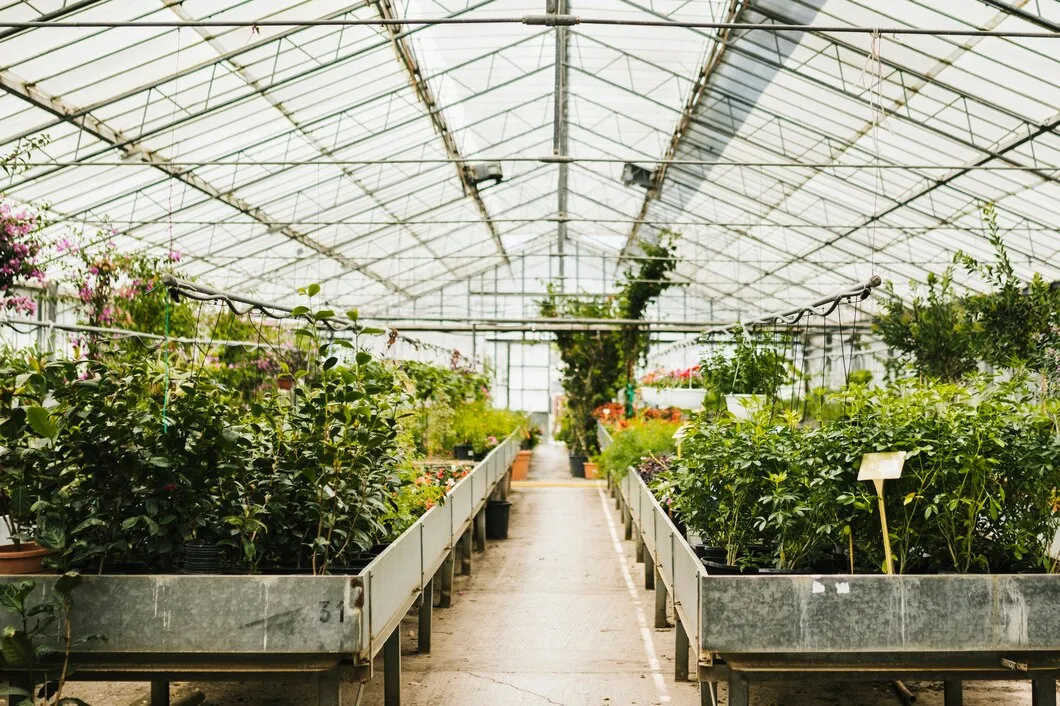 Estufa Com Protecao Para Cultivo