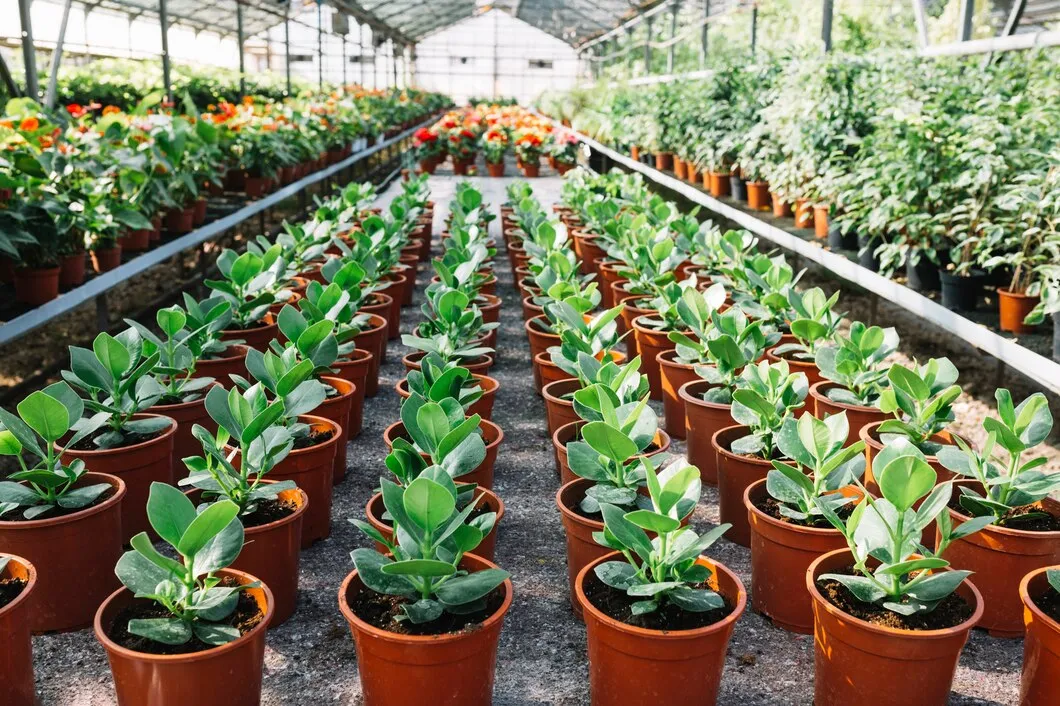 Estufa Para Flores