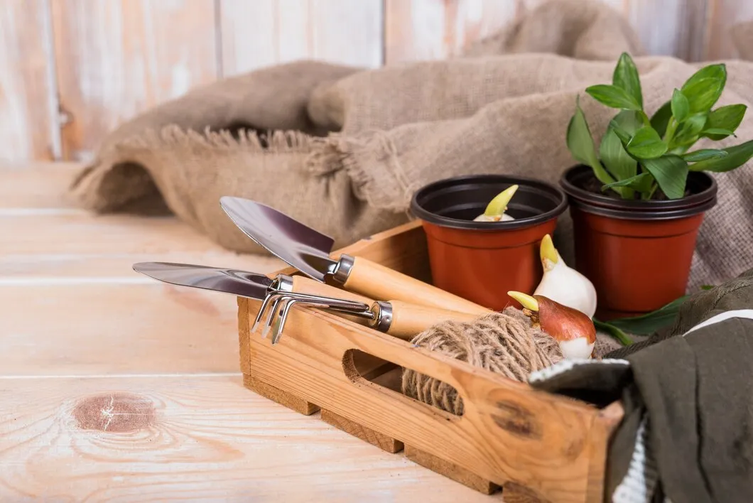 Mesa De Trabalho Para Classificacao De Flores