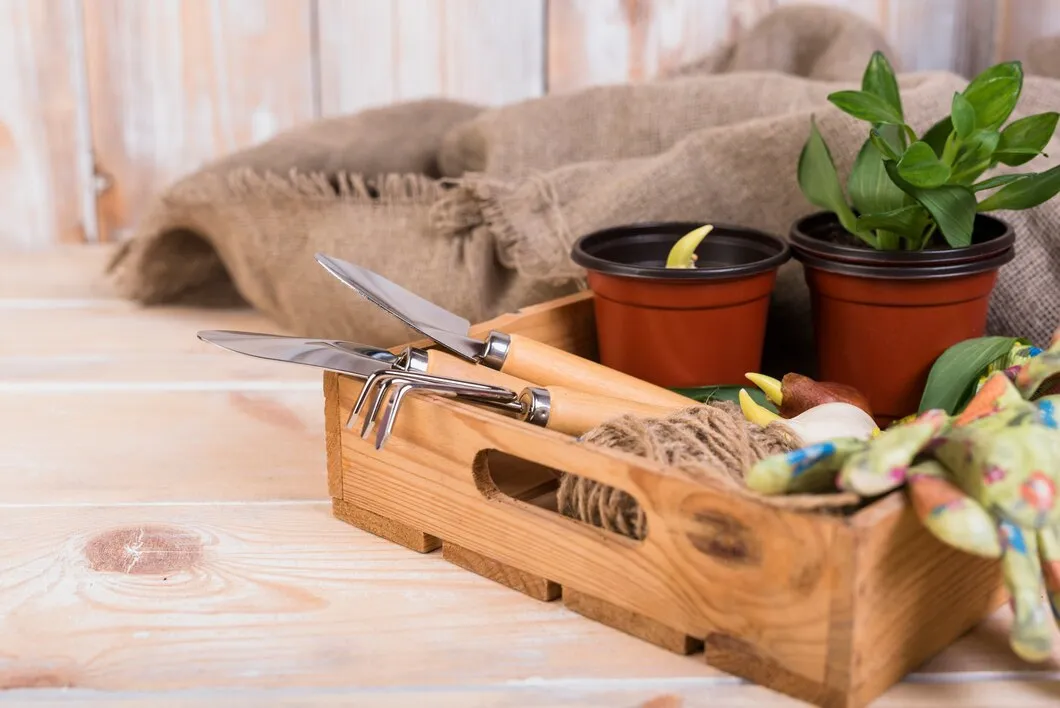 Mesa De Semeadura Para Floricultura