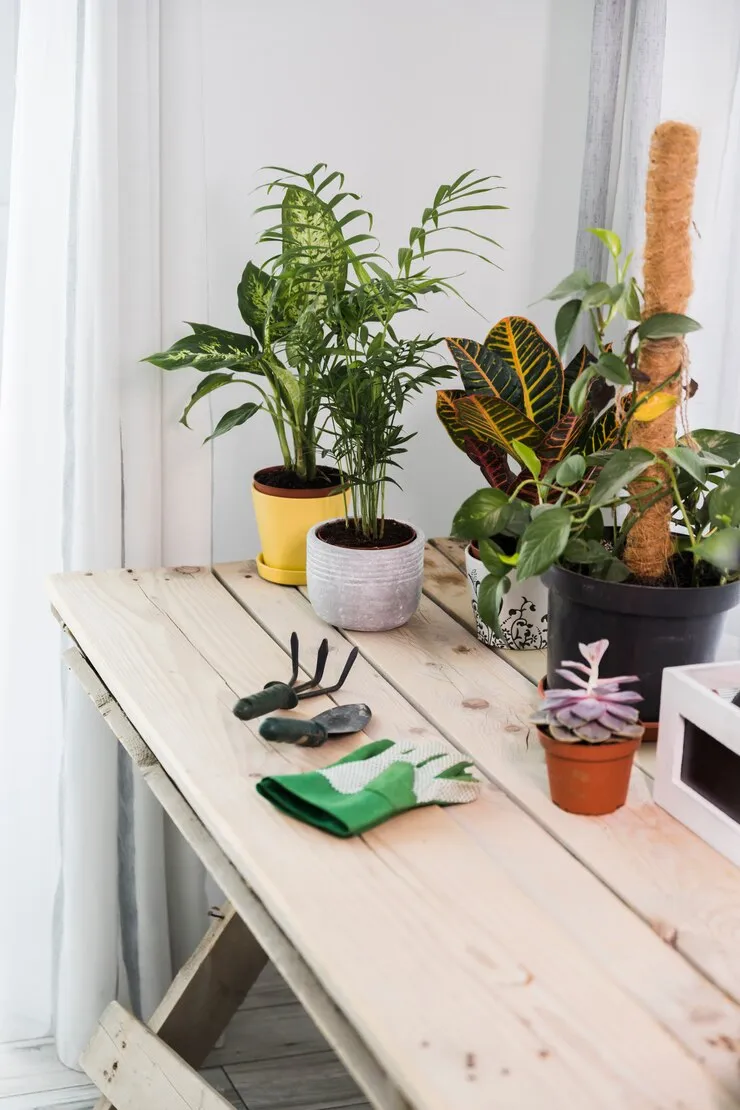Categoria mesa de trabalho para manutenção de plantas de Floricultura SA