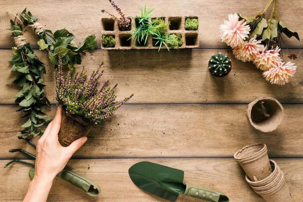 Mesa Para Cultivo De Plantas