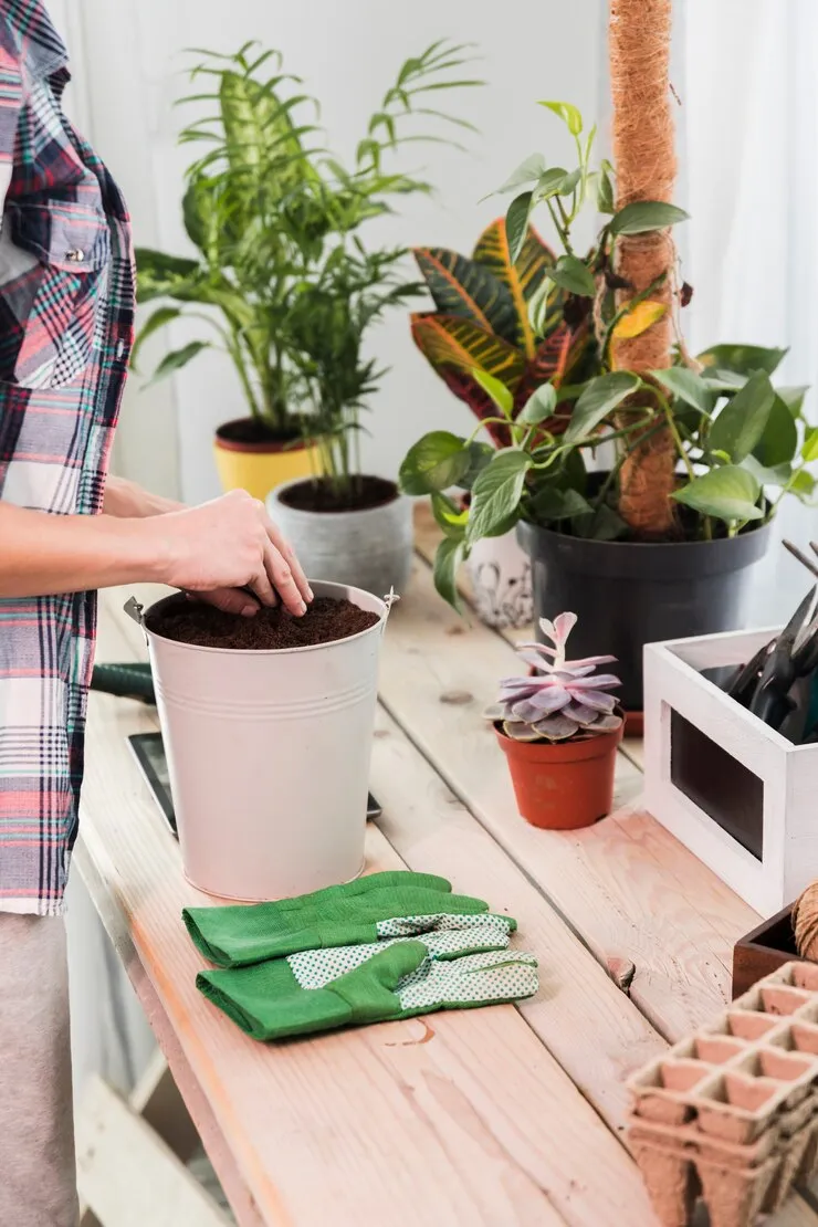 Mesa De Trabalho Para Manutencao De Plantas