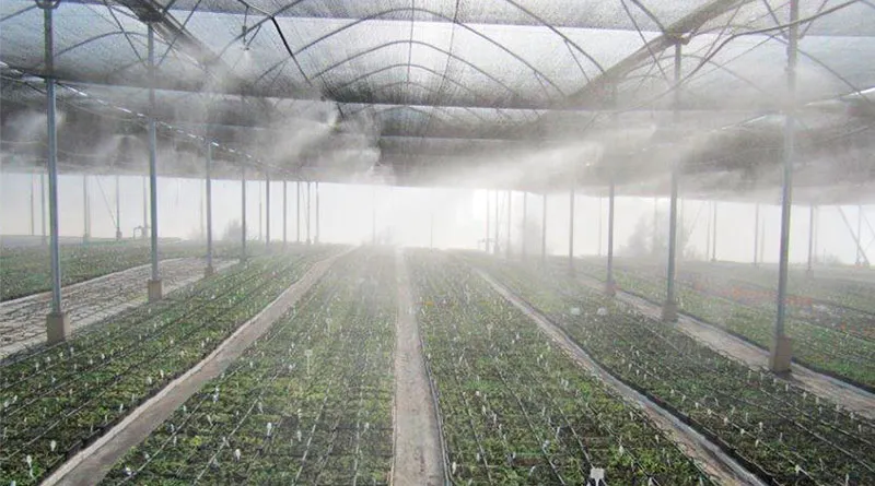 Nebulizador Para Controle De Umidade