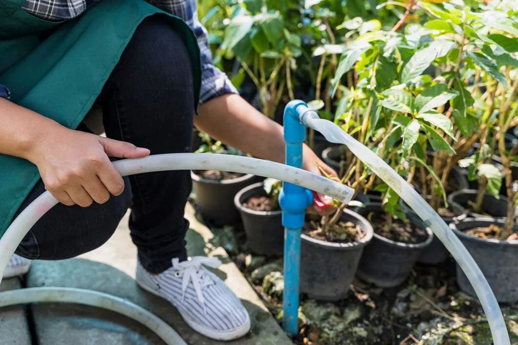 Categoria rega por gotejamento de Floricultura SA
