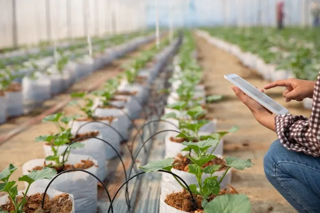 Monitoramento De Pragas Para Floricultura