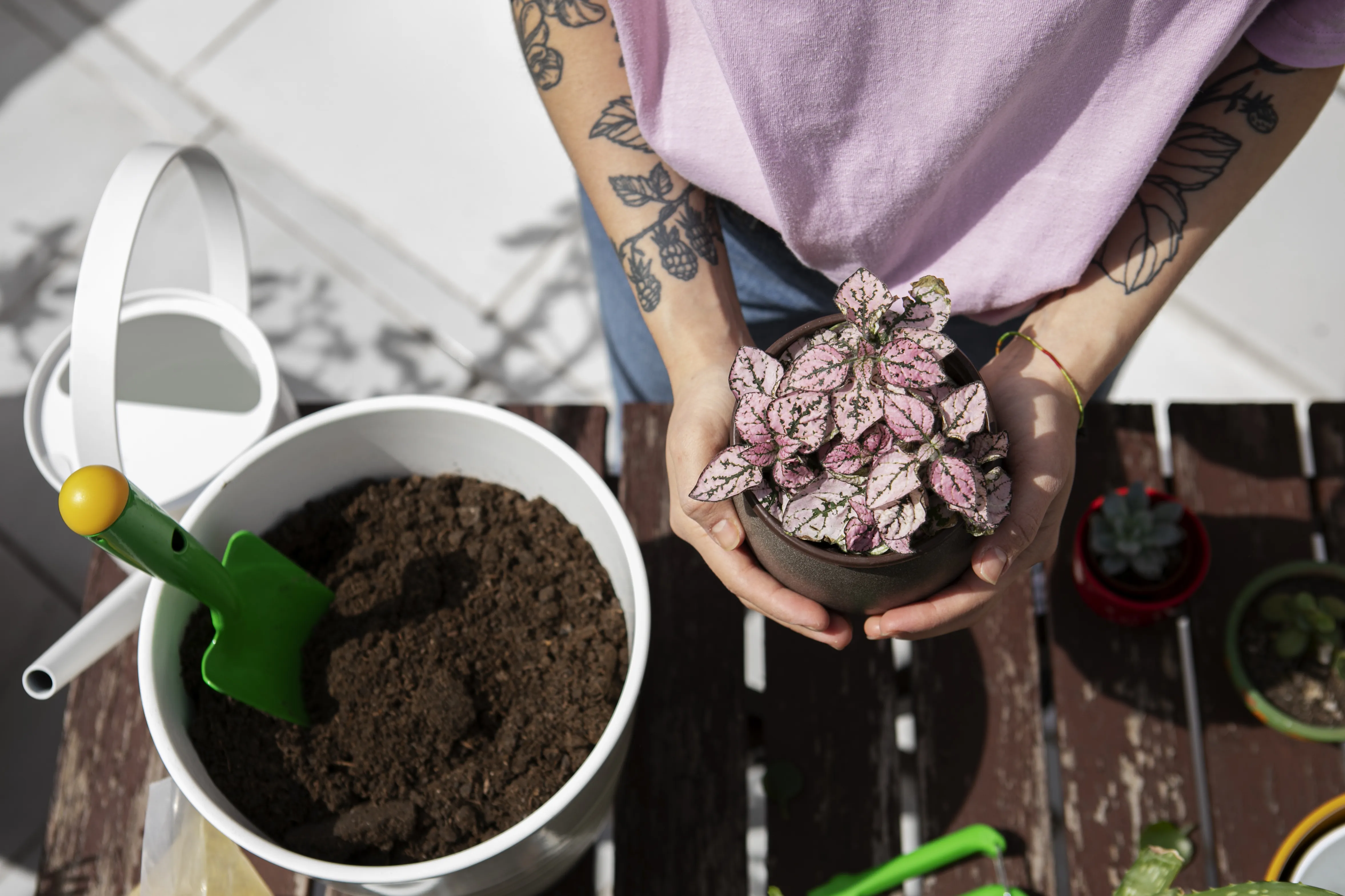 Substrato Para Plantio De Flores
